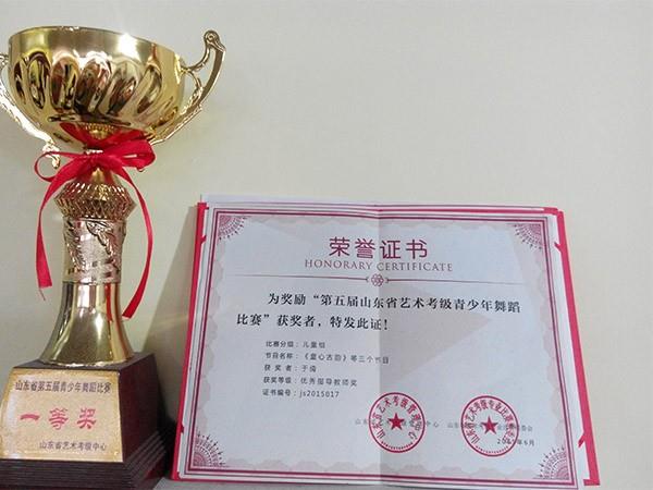山东省第五届青少年舞蹈比赛一等奖